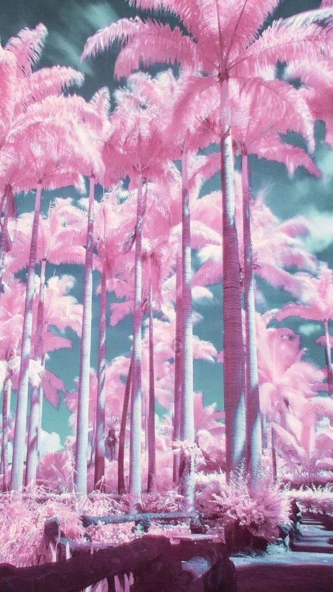 尽在苹果手机的短信可以一键删除吗,专注58问答交流平台